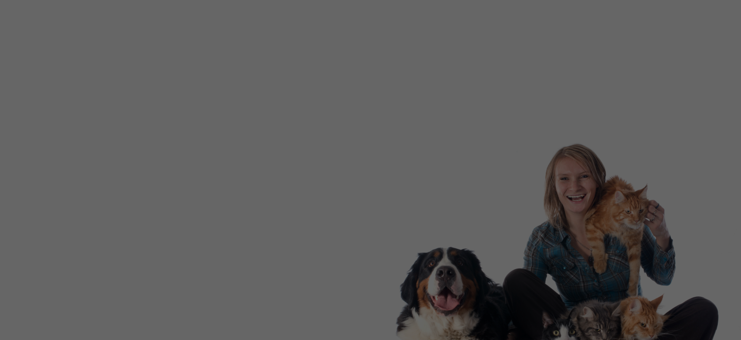 Lorem ipsum dolor sit amet, consectetur adipiscing elitLorem ipsum dolor sit amet.